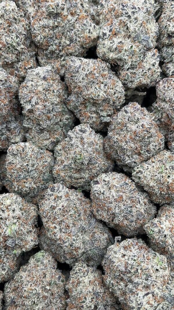 Trufflelatti