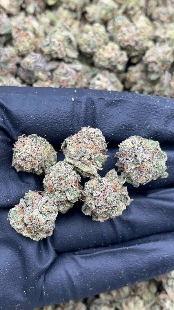 Wild Cherry Smalls