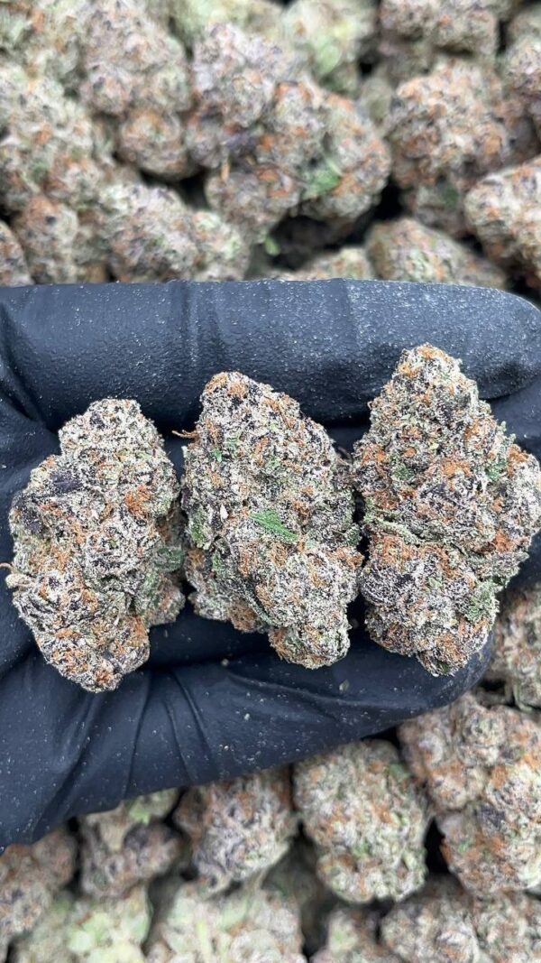 White widow